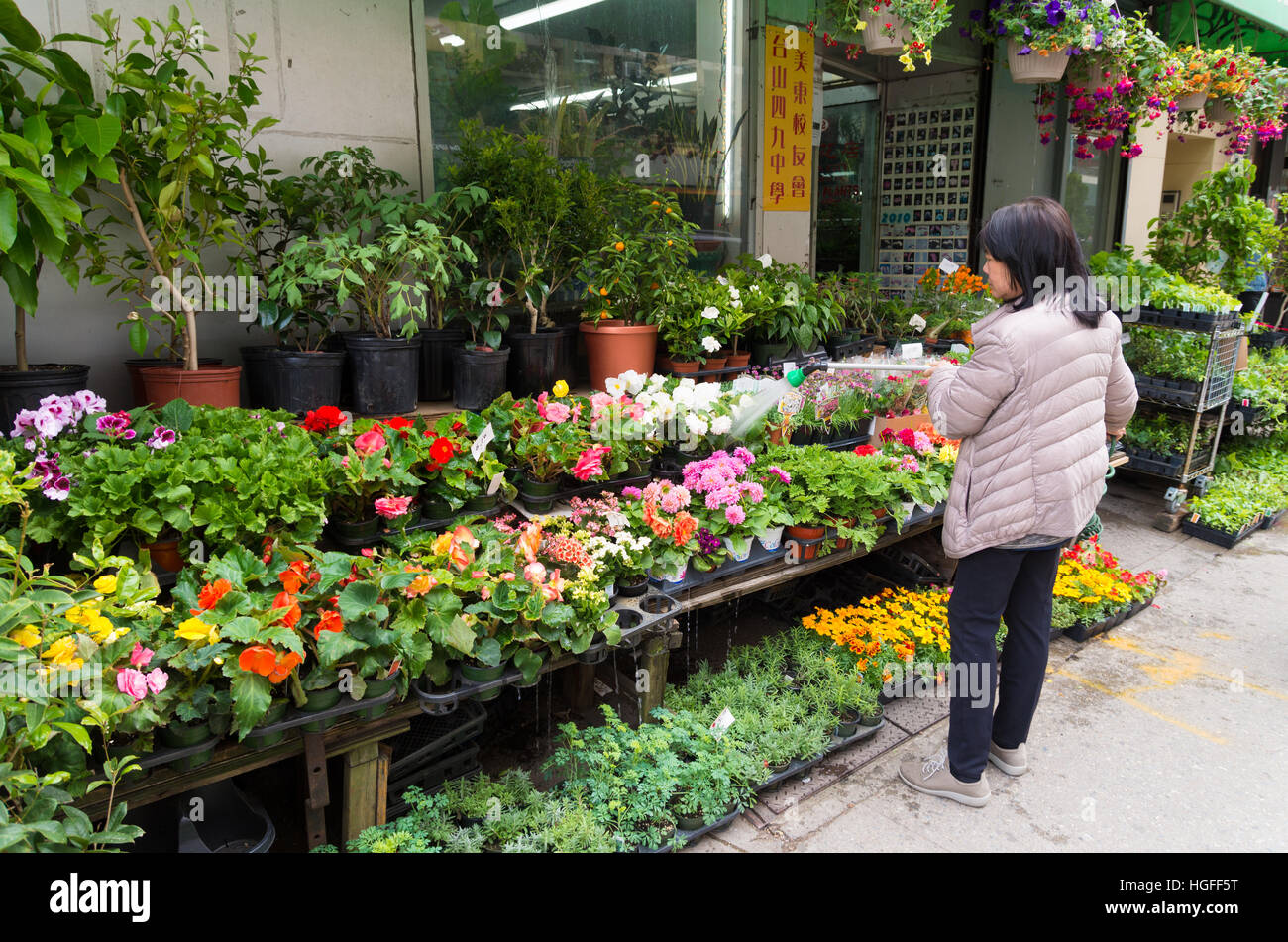 NEW YORK APRIL 29, 2016 Unknown chinese woman watering flowers in