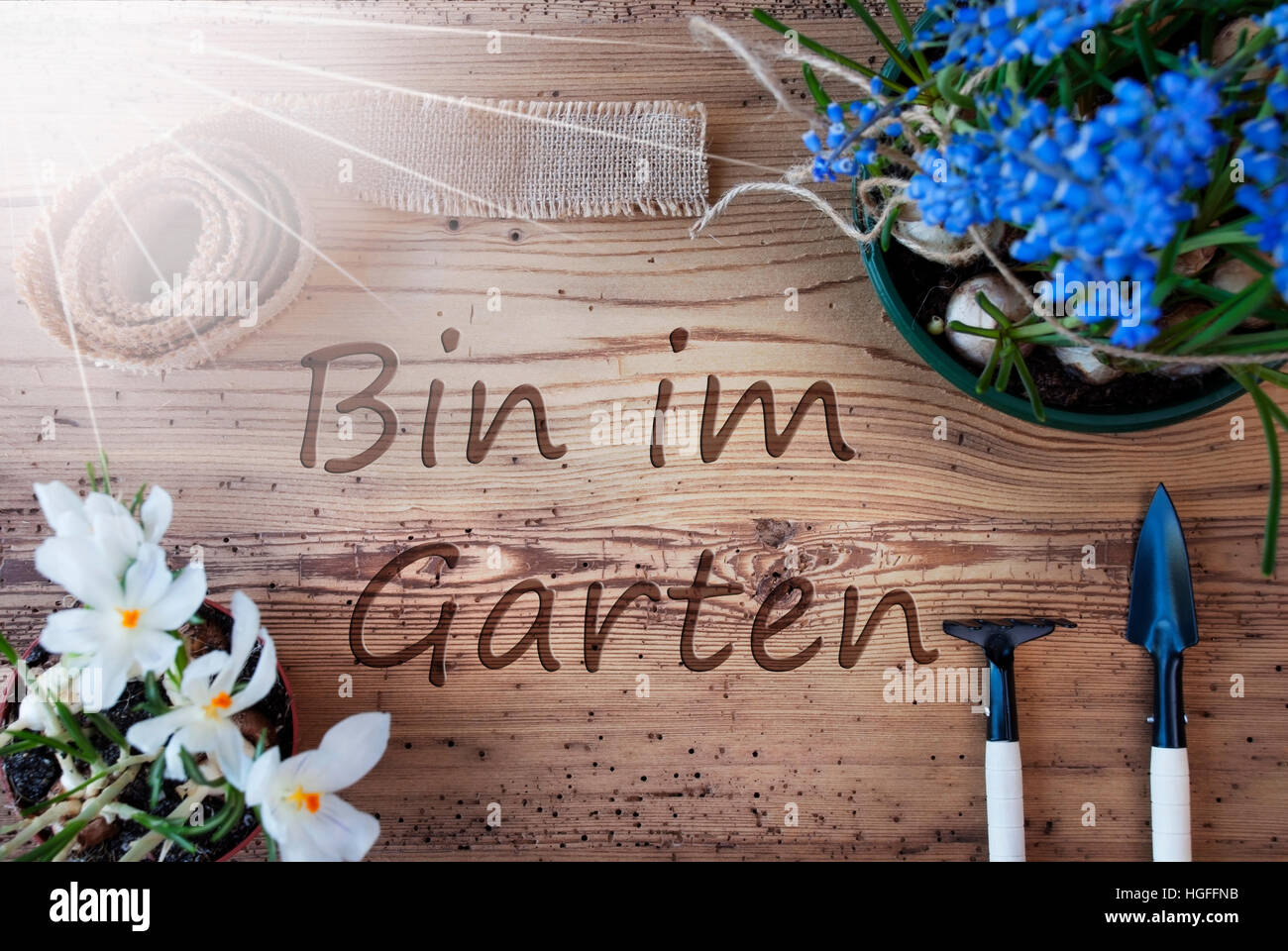 Sunny Spring Flowers, Bin Im Garten Means In The Garden Stock Photo Alamy