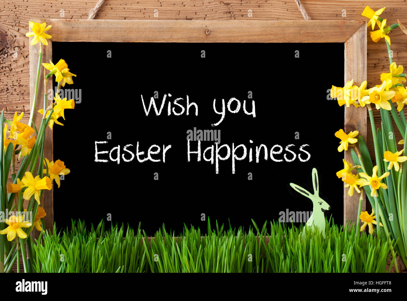 Narcissus, Bunny, Text Wish You Easter Happiness Stock Photo