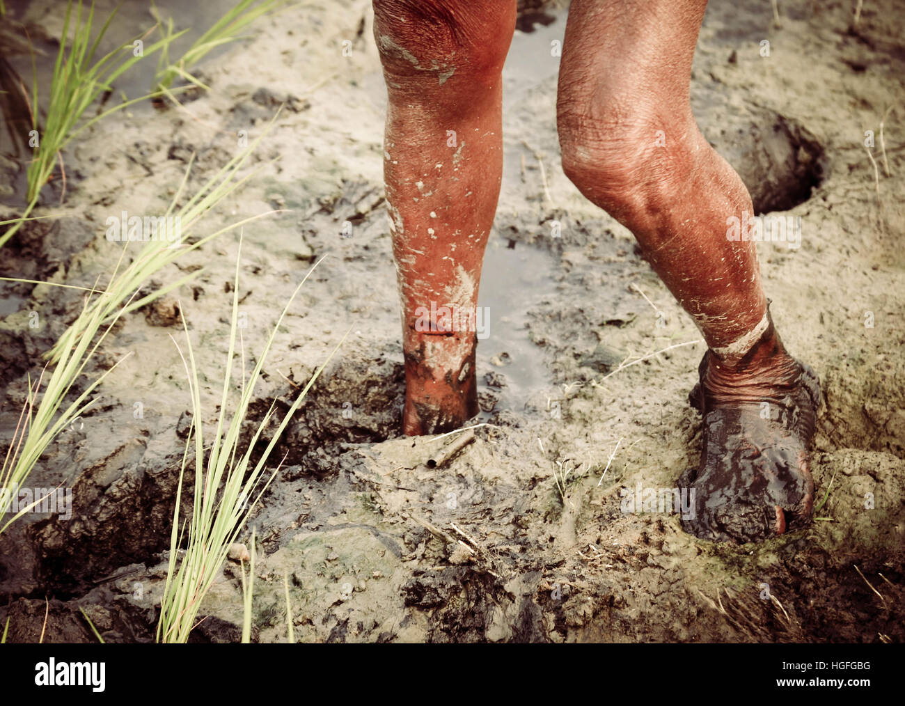Legs of a Bangladeshi old farmer in marshland Stock Photo