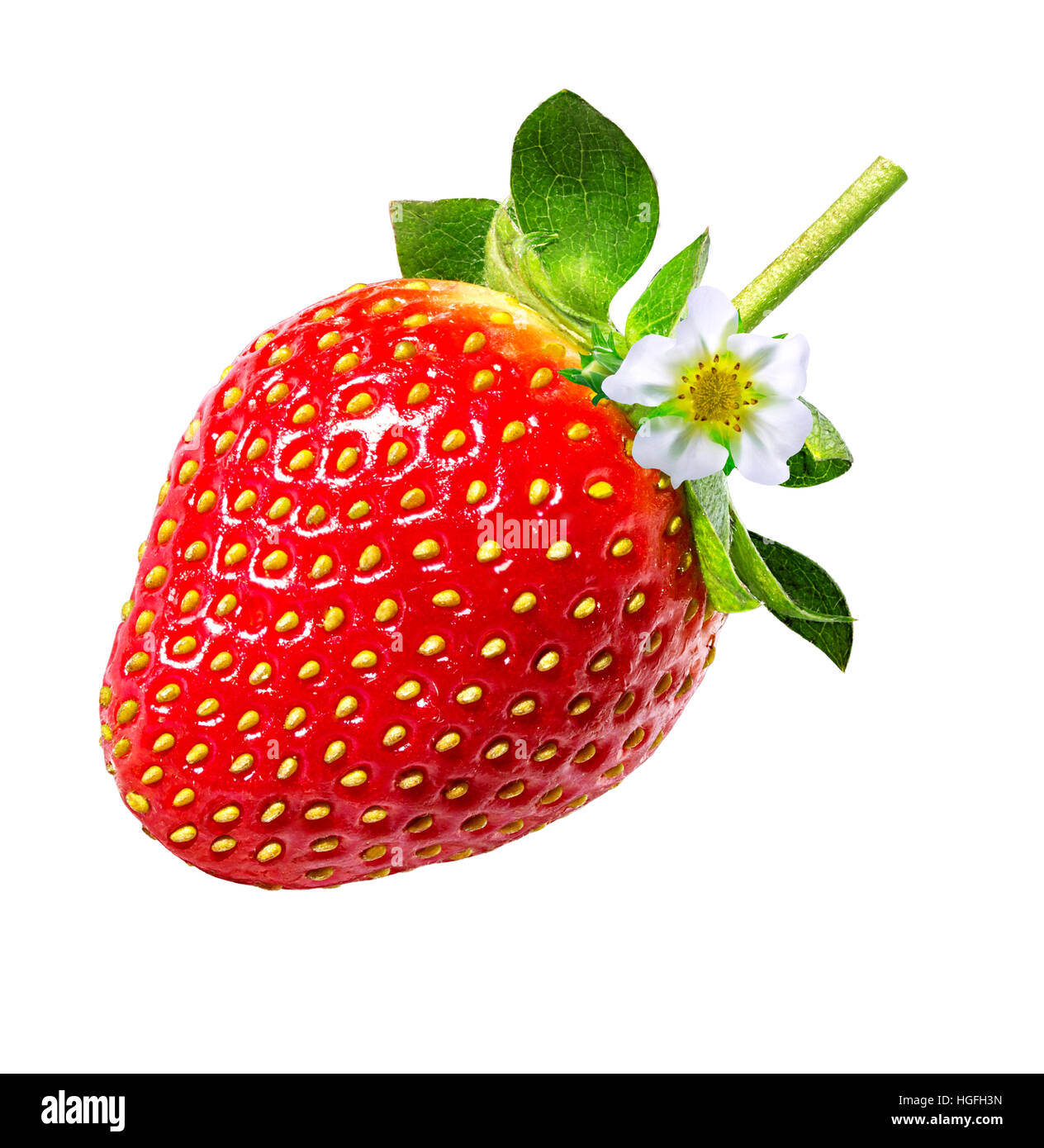 Strawberry on white background Stock Photo - Alamy