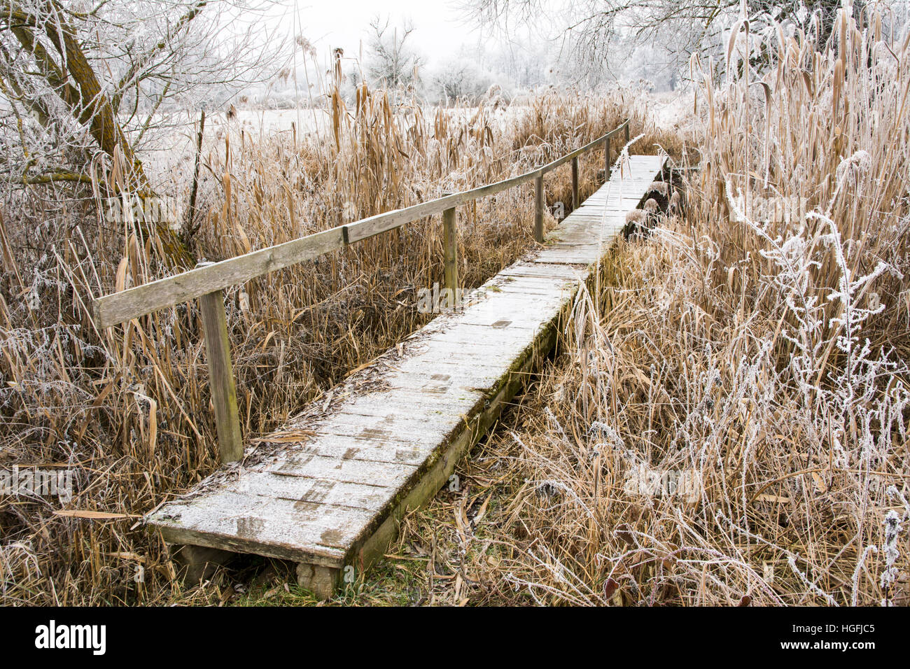 Winter landscape with an old wooden bridge in a landscape conservation area called Goachat near Schrobenhausen (Bavaria, Germany) Stock Photo