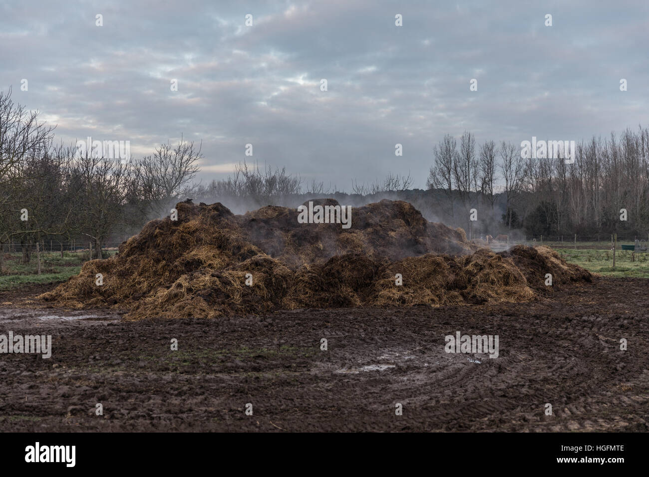 Horse Manure Pile Stock Photo Alamy