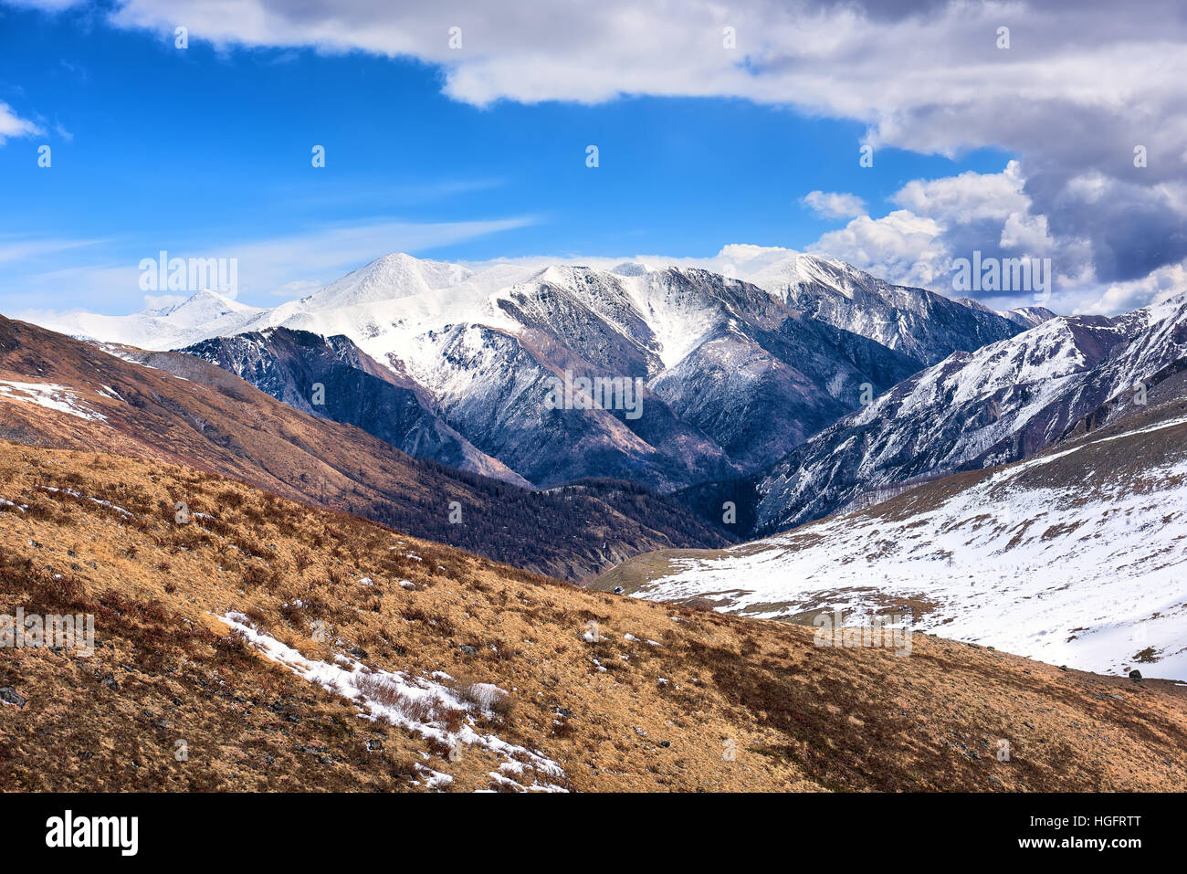 Dry vegetation of mountain tundra in early spring. Eastern Sayan mountains. Russia Stock Photo