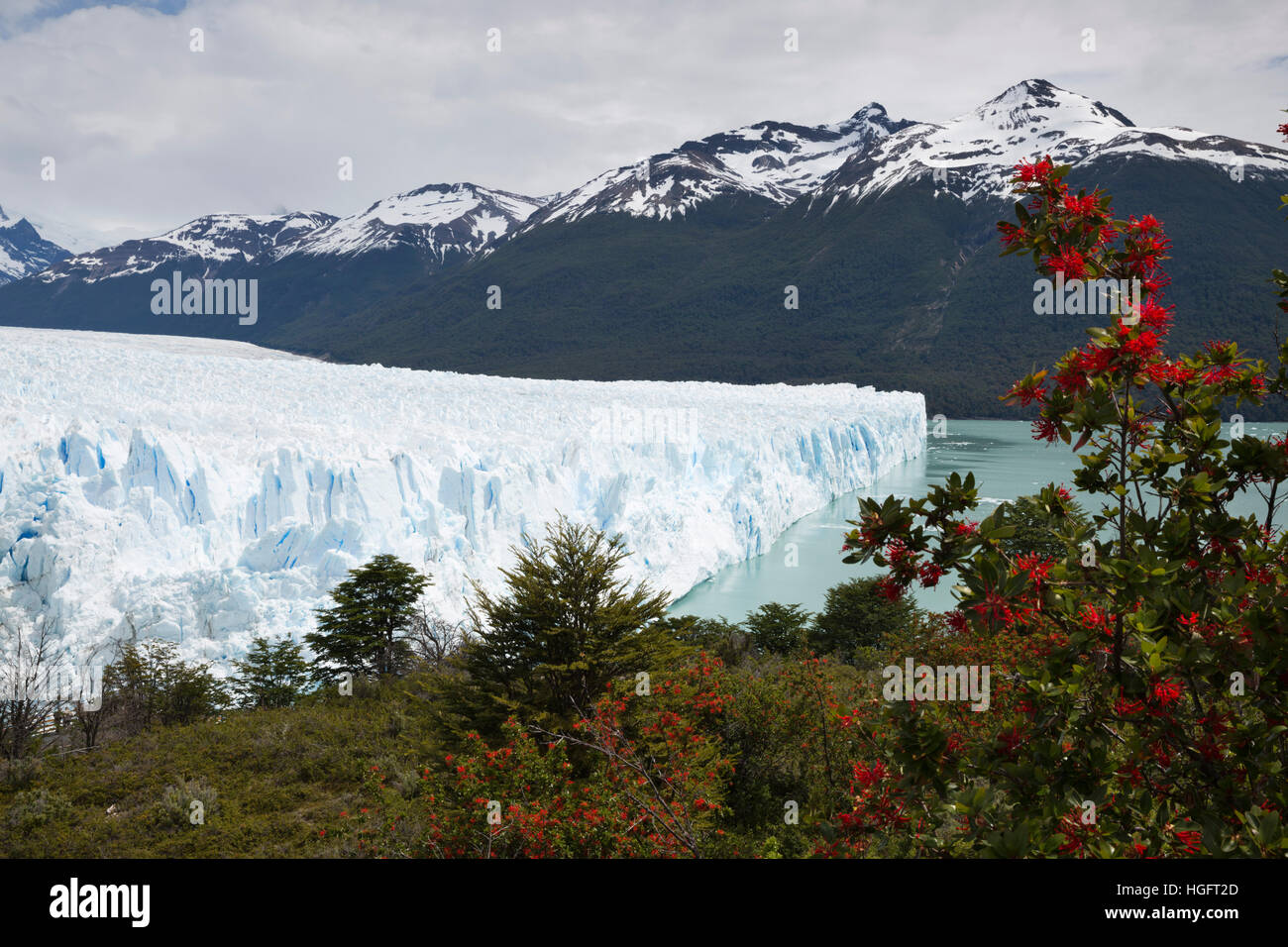 Perito Moreno Glacier on Lago Argentino, El Calafate, Parque Nacional Los Glaciares, Patagonia, Argentina, South America Stock Photo