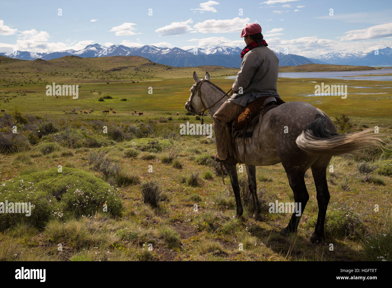 Gaucho on horseback looking over Estancia Alta Vista to The Andes, El Calafate, Los Glaciares Nat Park, Patagonia, Argentina Stock Photo