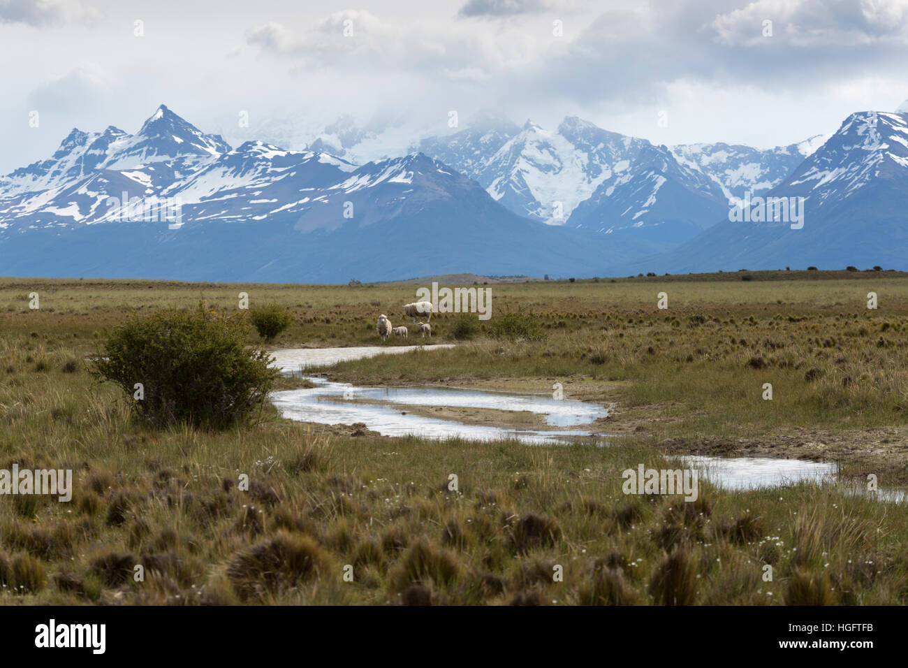 River and sheep below the Andes mountain range, Estancia Alta Vista to The Andes, El Calafate, Patagonia, Argentina, South America Stock Photo