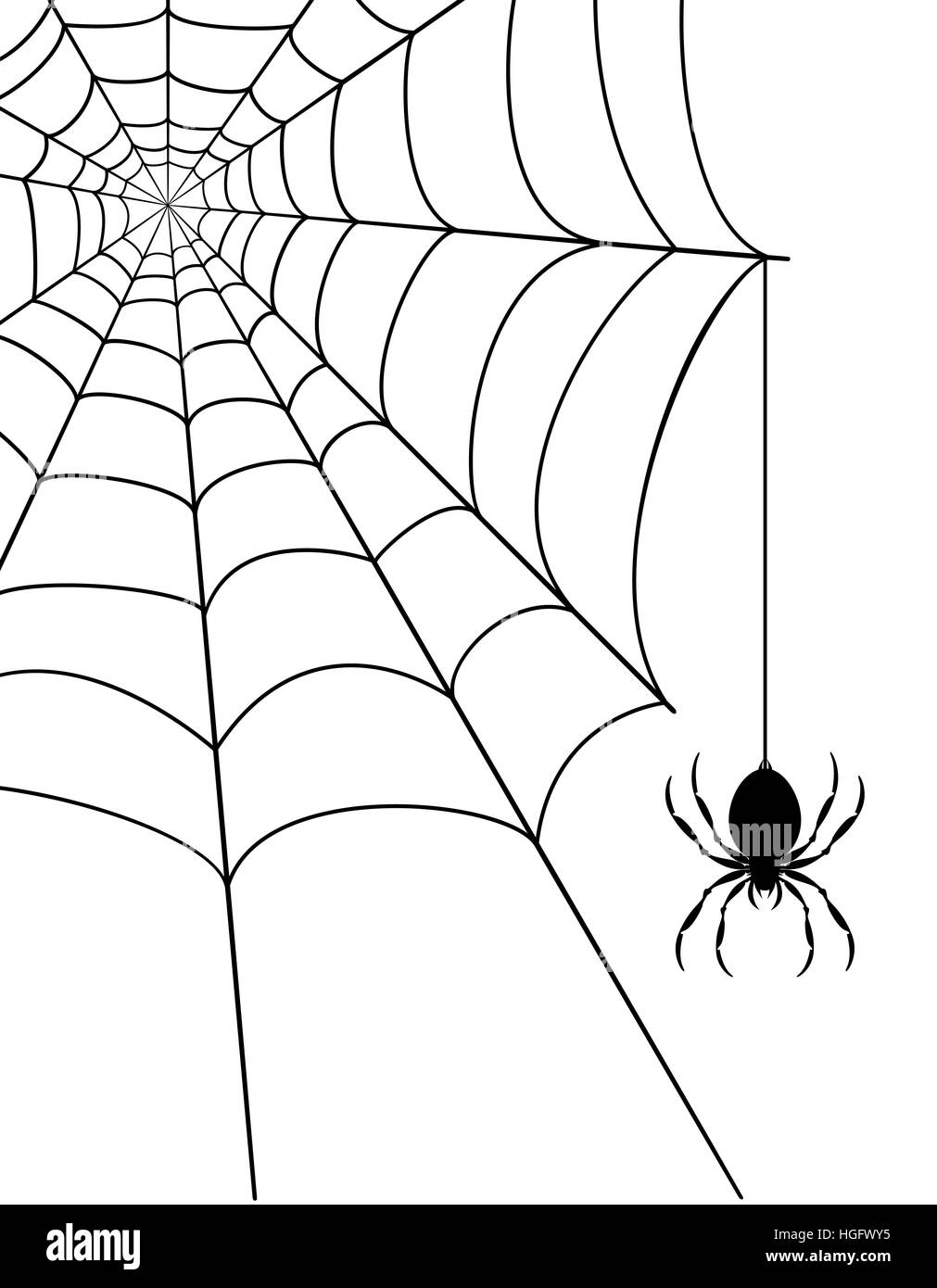 Spider Web Stock Illustration - Download Image Now - Spider Web, Vector,  White Background - iStock
