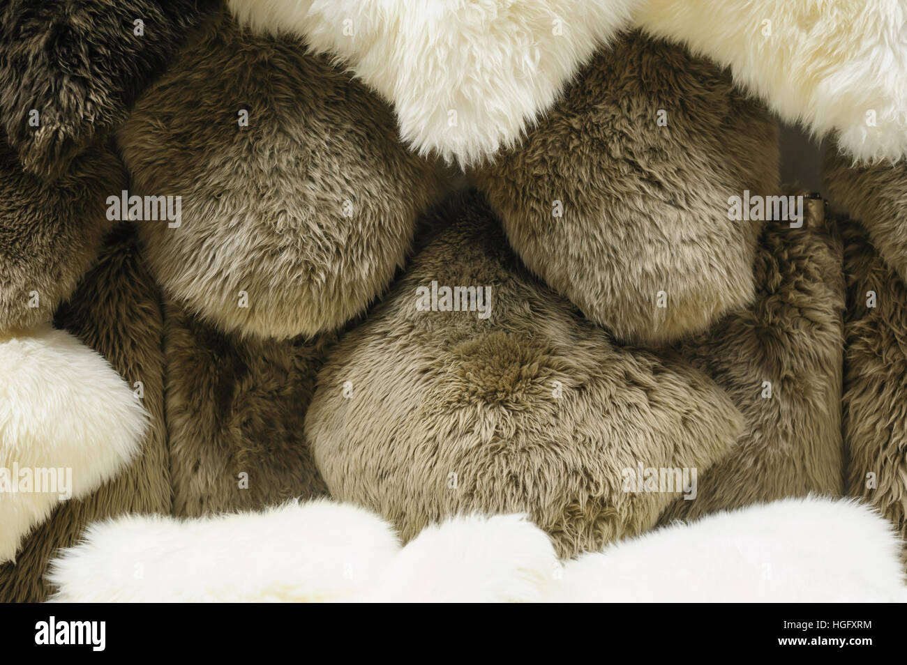 Fur animals hi-res stock photography and images - Alamy