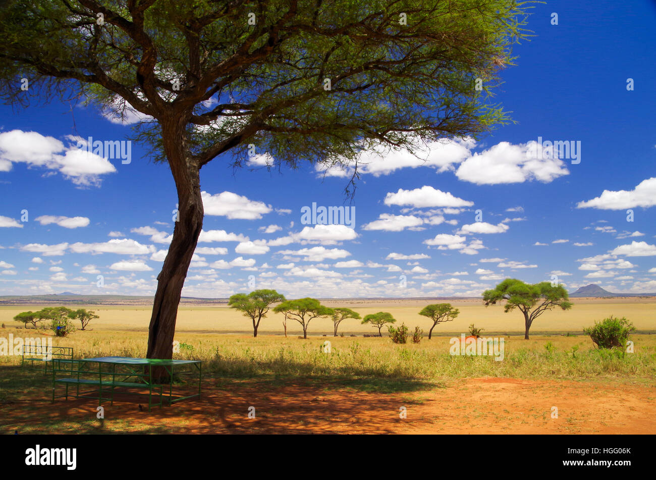 African savanna in Tarangire National Park in Tanzania Stock Photo