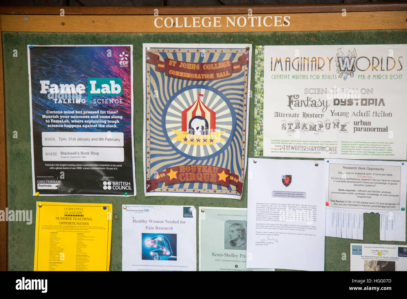 University students notice board hires stock photography and images
