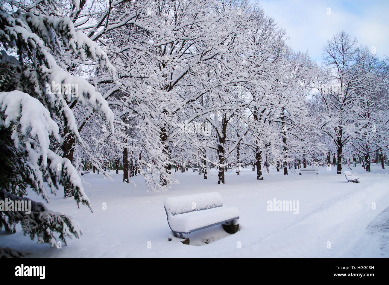 Snowy winter day at a park in Pärnu, Estonia Stock Photo