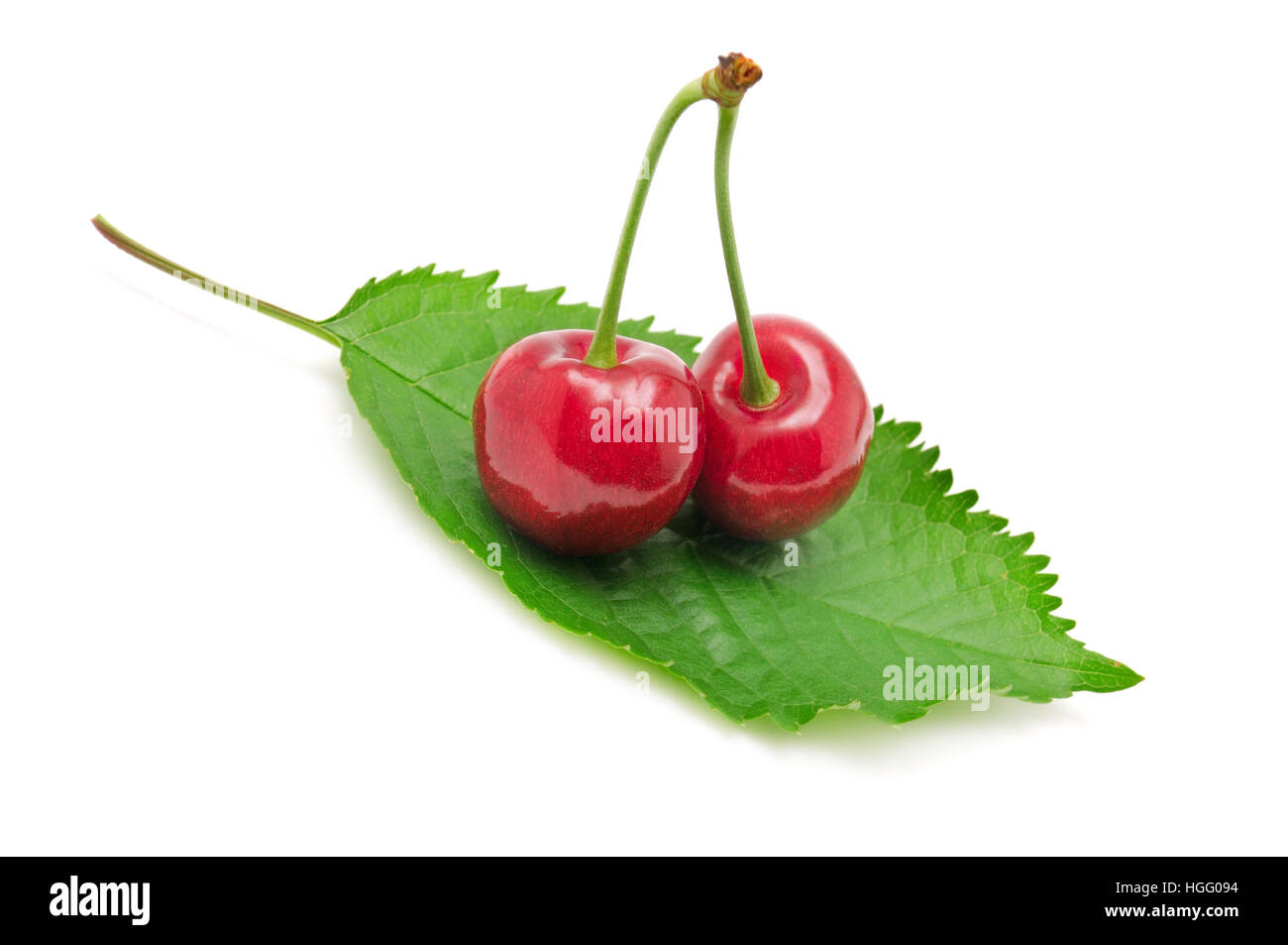 cherries on leaf isolated on white Stock Photo