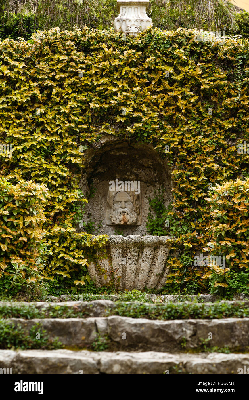 France, Alpes-Maritimes, Menton, Garden Serre de la Madone : fountain and Ficus pumila Stock Photo
