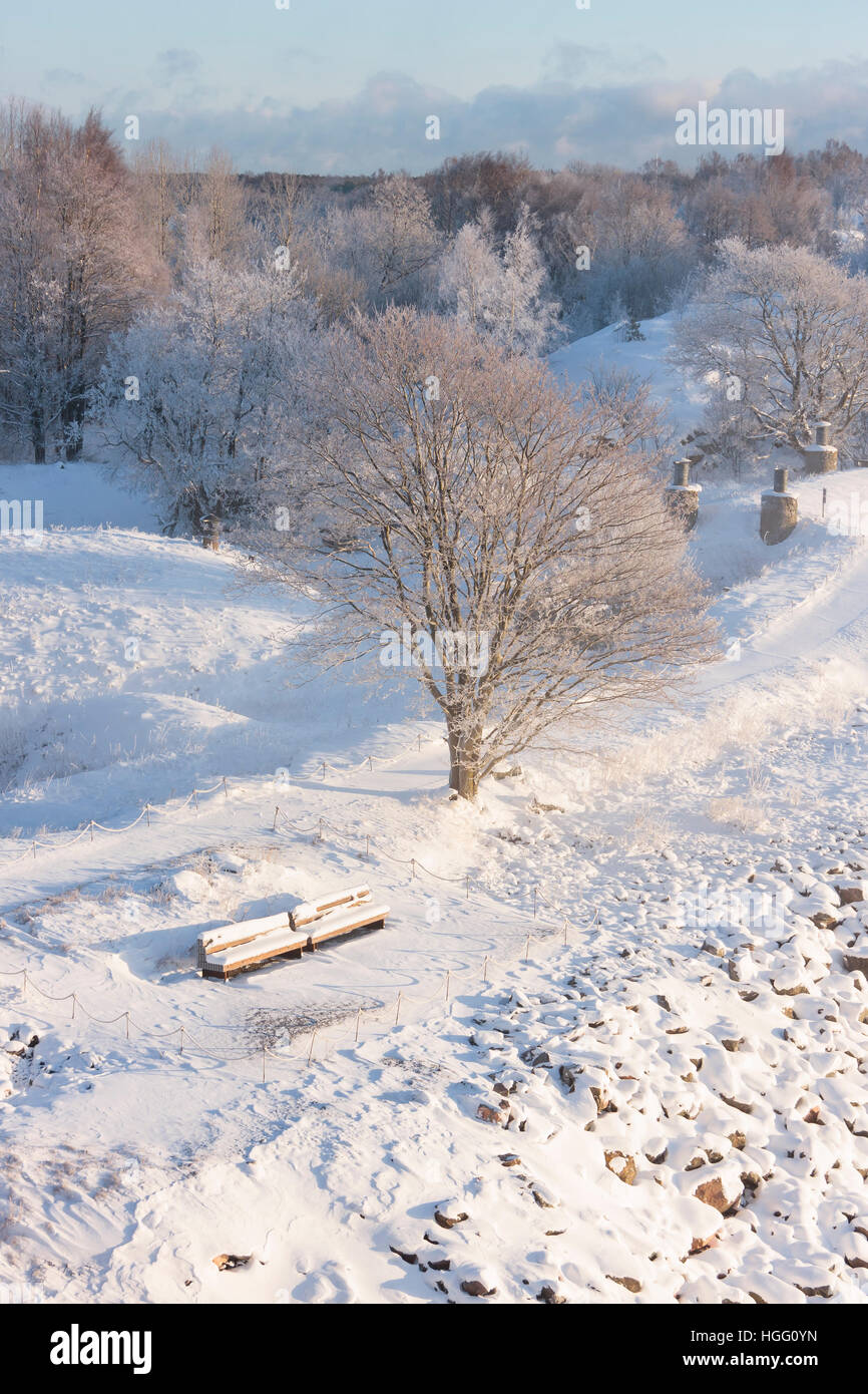 Two snowy benches covered with snow in a park at winter Stock Photo - Alamy