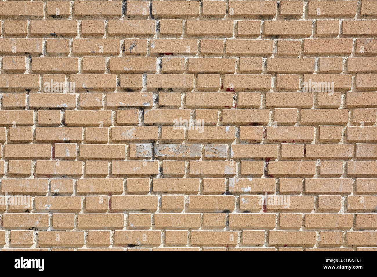 Beige weathered bricks wall in sunlight, texture background Stock Photo