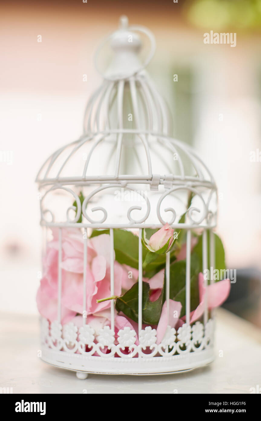 Wedding floral decoration in beautiful vintage birdcage. Wedding decor idea Stock Photo