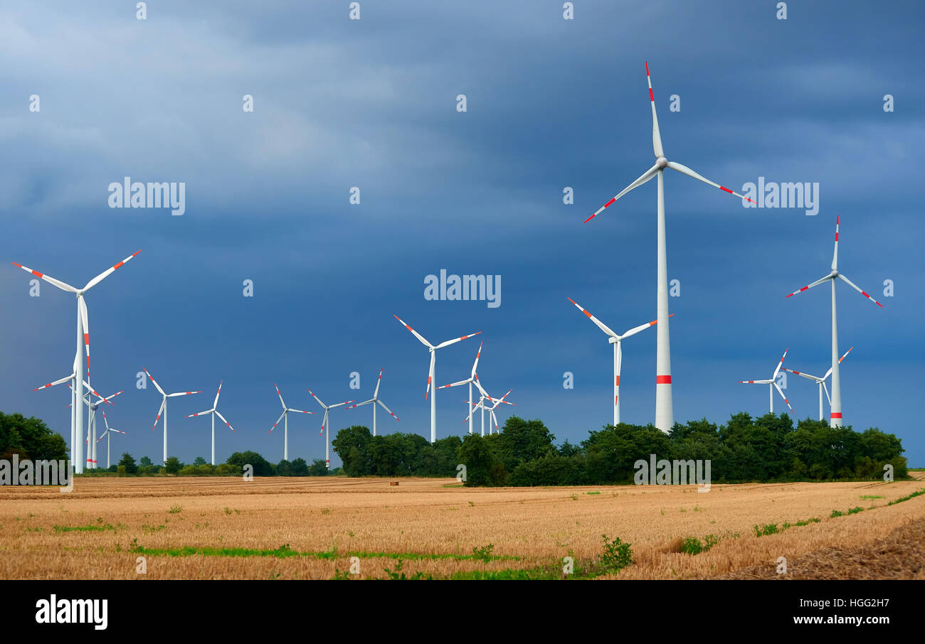 windpark with a lot of windmills for electricity power Stock Photo