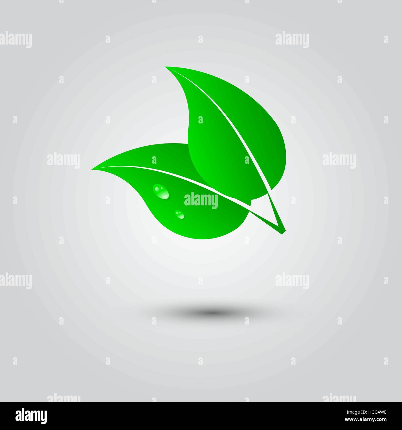 illustration of a leaf and water drops on a white background Stock ...