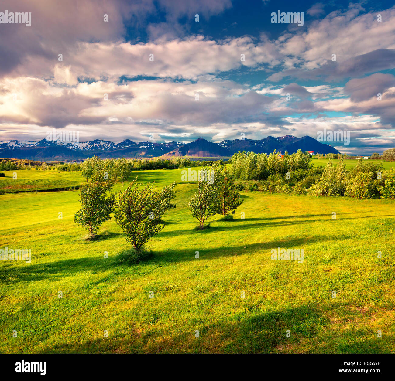 Colorful Icelandic landscape with field of green grass in the June