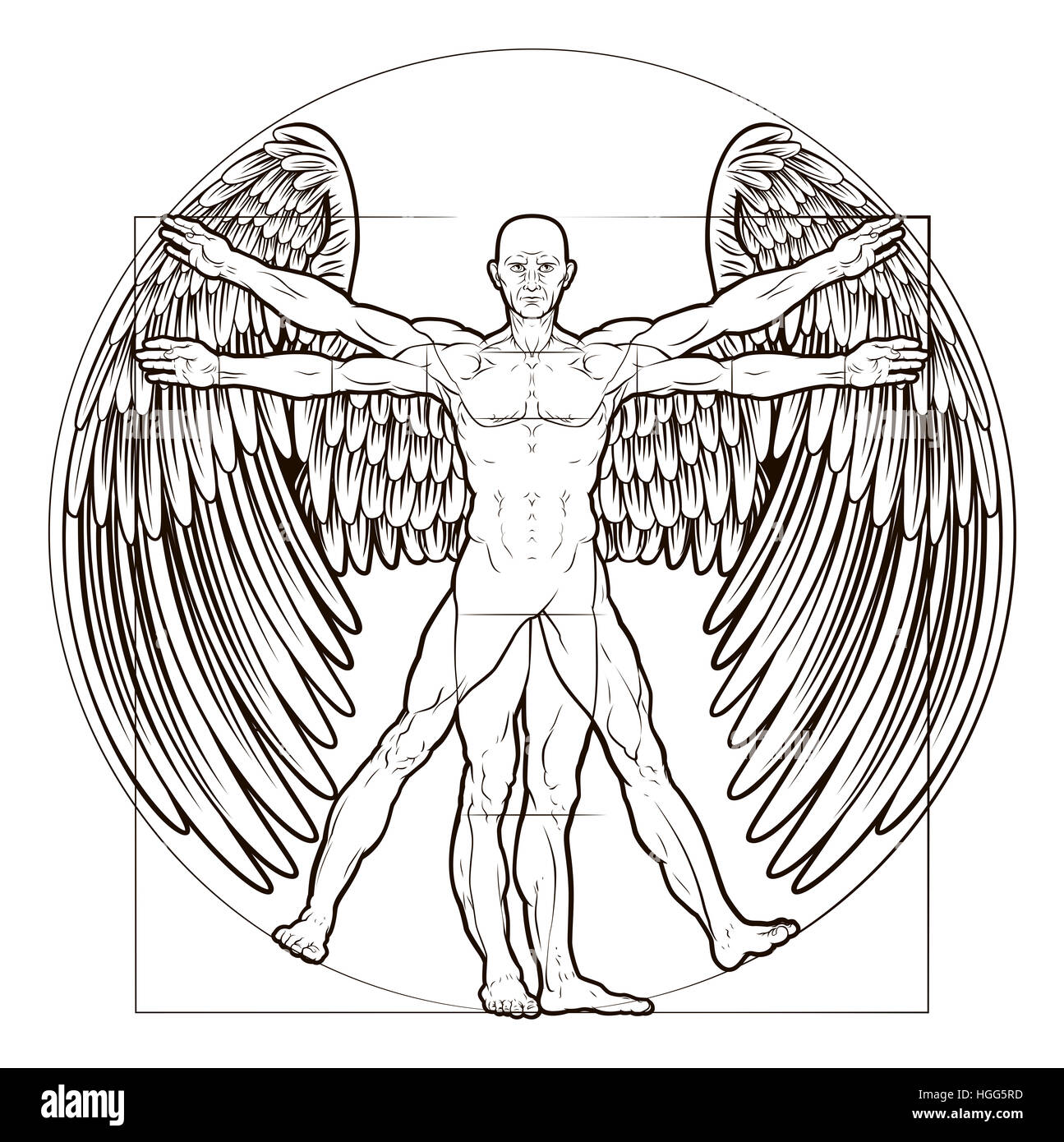 Vitruvian man angel figure like Leonard Da Vinci s anatomy illustration with wings Stock Photo