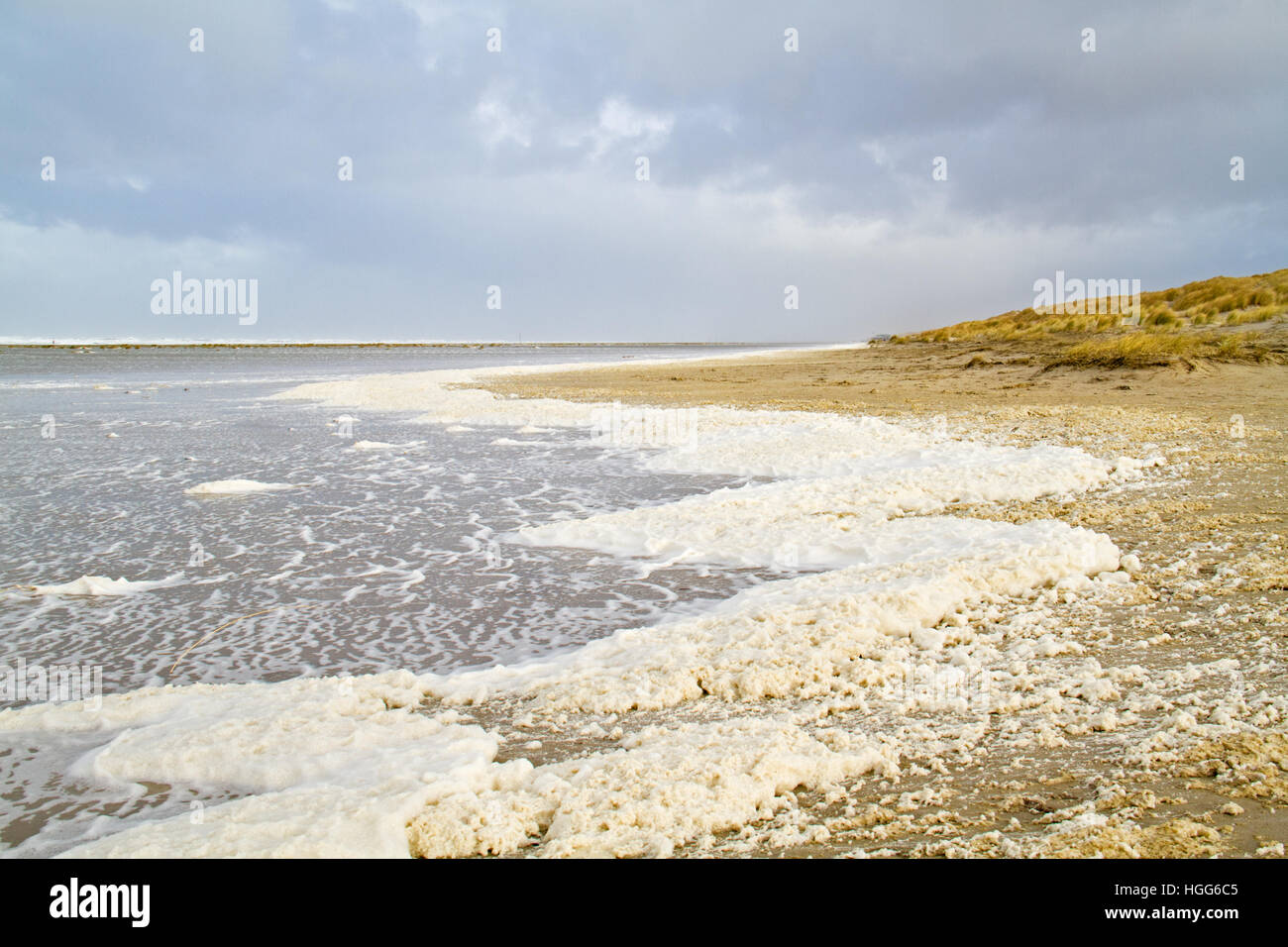 Spume / sea foam / ocean foam / beach foam formed during stormy