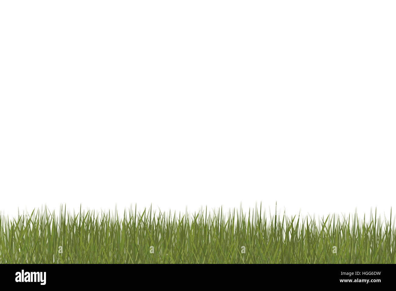 Green Grass isolated on white background Stock Photo - Alamy