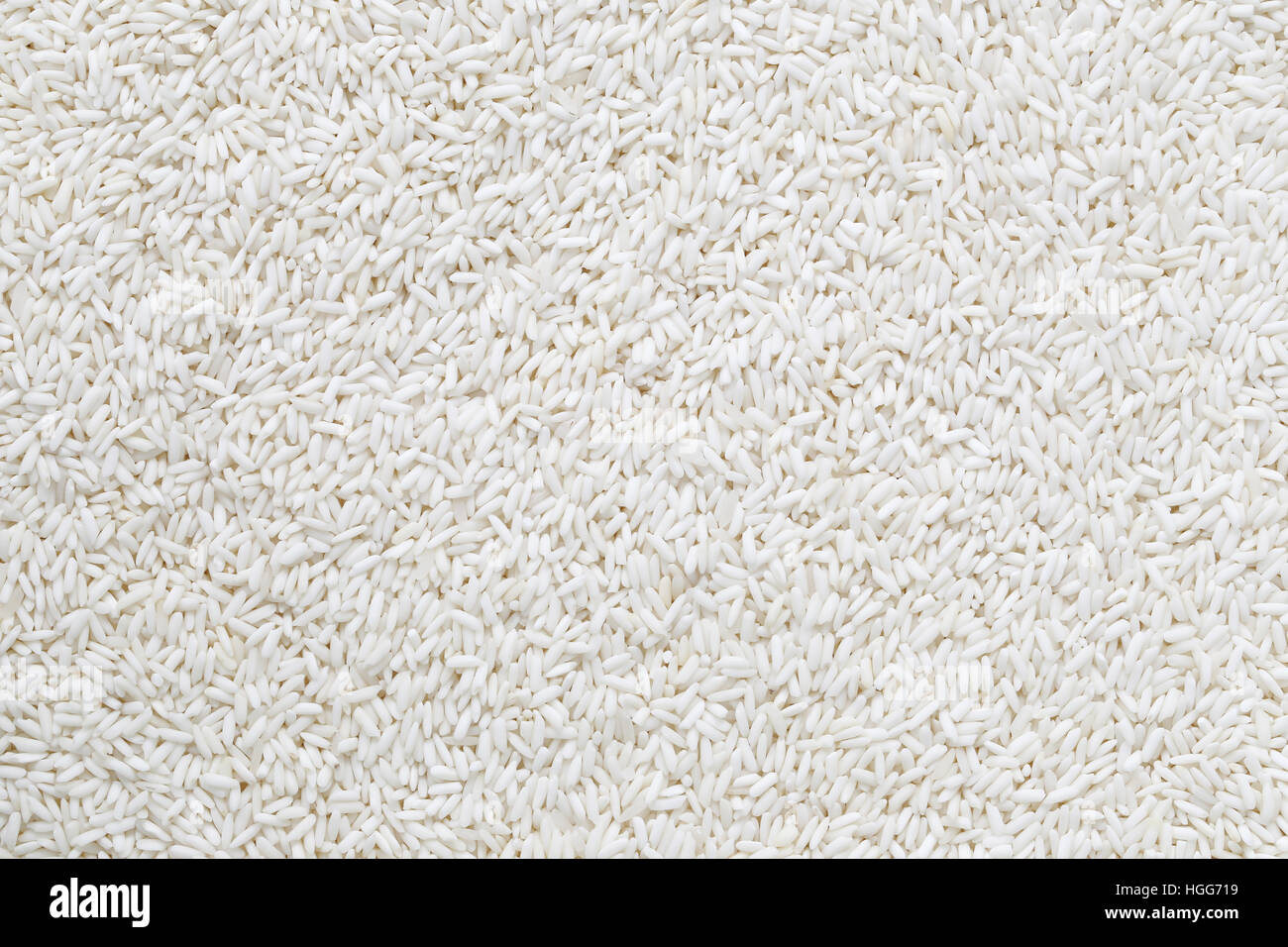 Organic white rice, glutinous rice or sticky rice for design nature