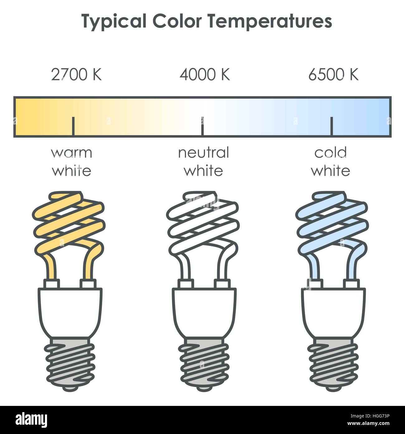 Energy saving light bulbs. Vector Stock Vector Image & Art Alamy