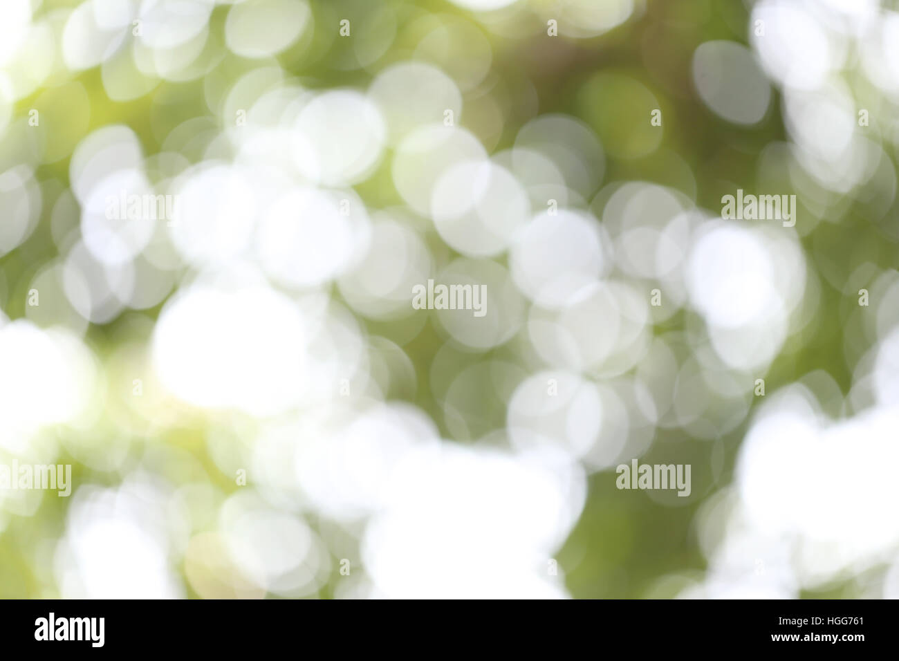 Abstract nature bokeh blurred background for the design advertising your text on backdrop in copy space. Stock Photo