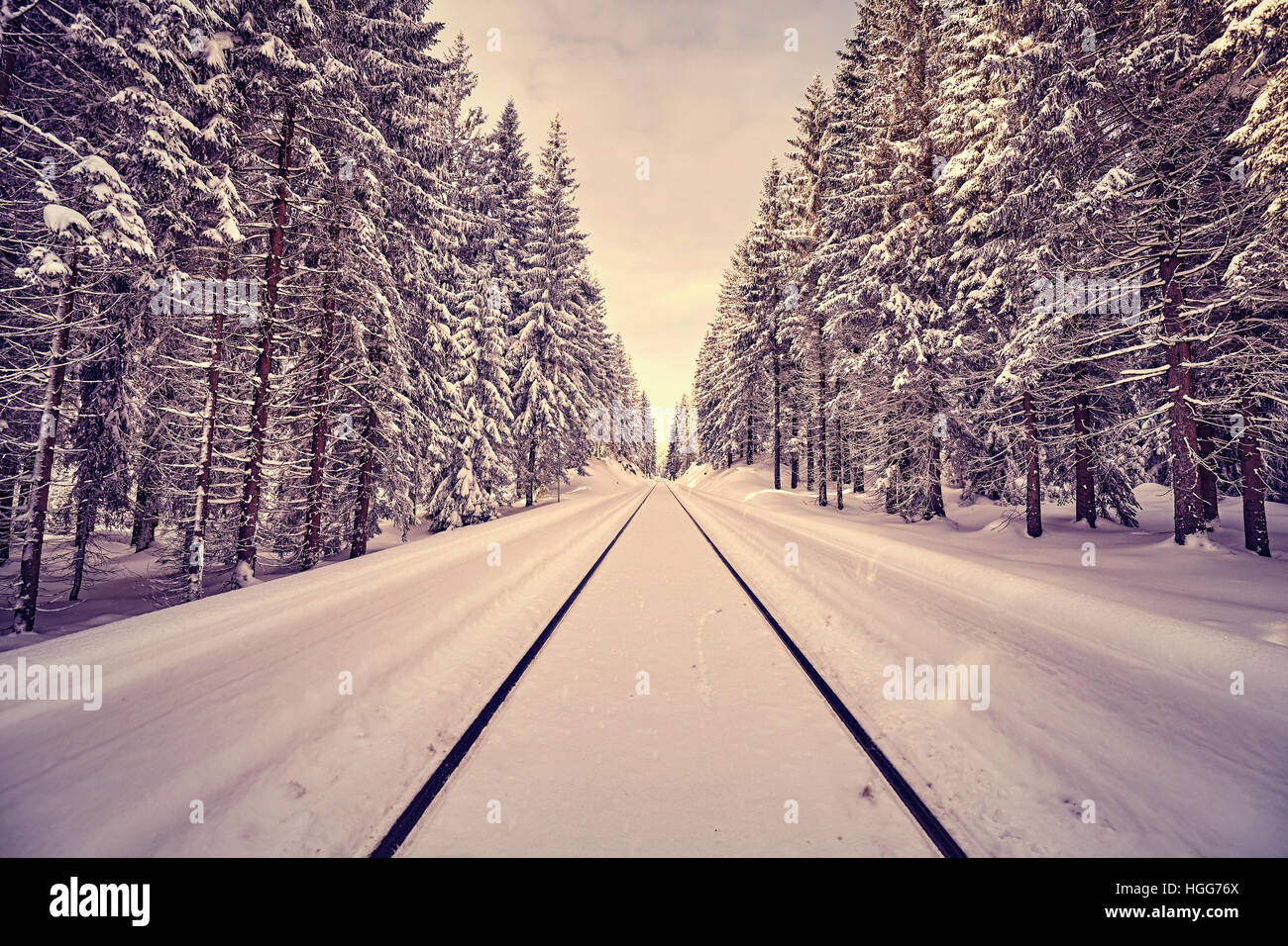 Vintage toned railroad tracks in a winter forest, travel concept. Stock Photo