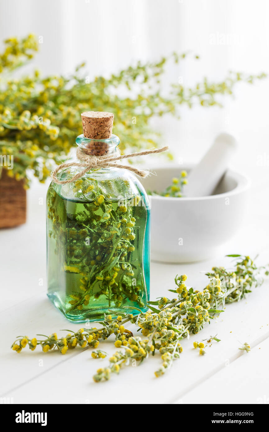 Bottle of absent or tincture of tarragon healthy herbs, absinthe healing herbs and mortar on table. Herbal medicine. Stock Photo