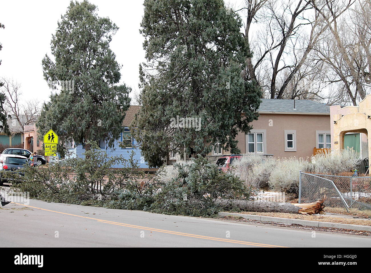 Colorado, USA. 9th Jan, 2017. Damaging winds tear through Colorado Springs. Credit: Stefan Klein/Alamy Live News Stock Photo