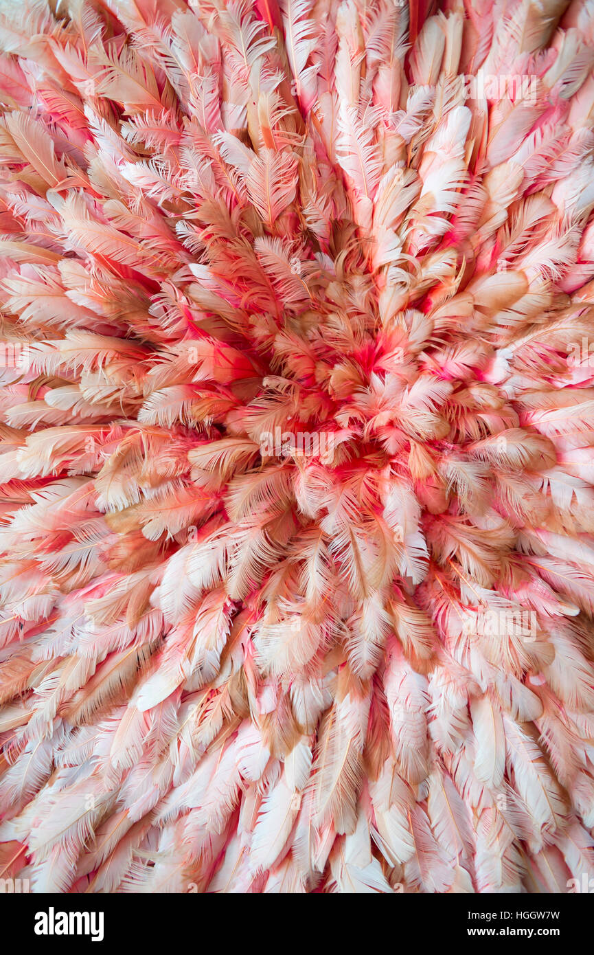 Tropical Pink Feather Carnival Decorations Background In Textured