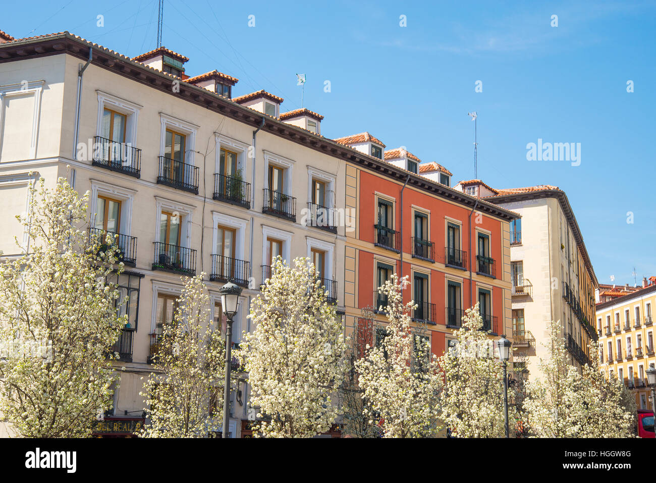 Facades of houses and flowered trees. Isabel II Square, Madrid, Spain. Stock Photo