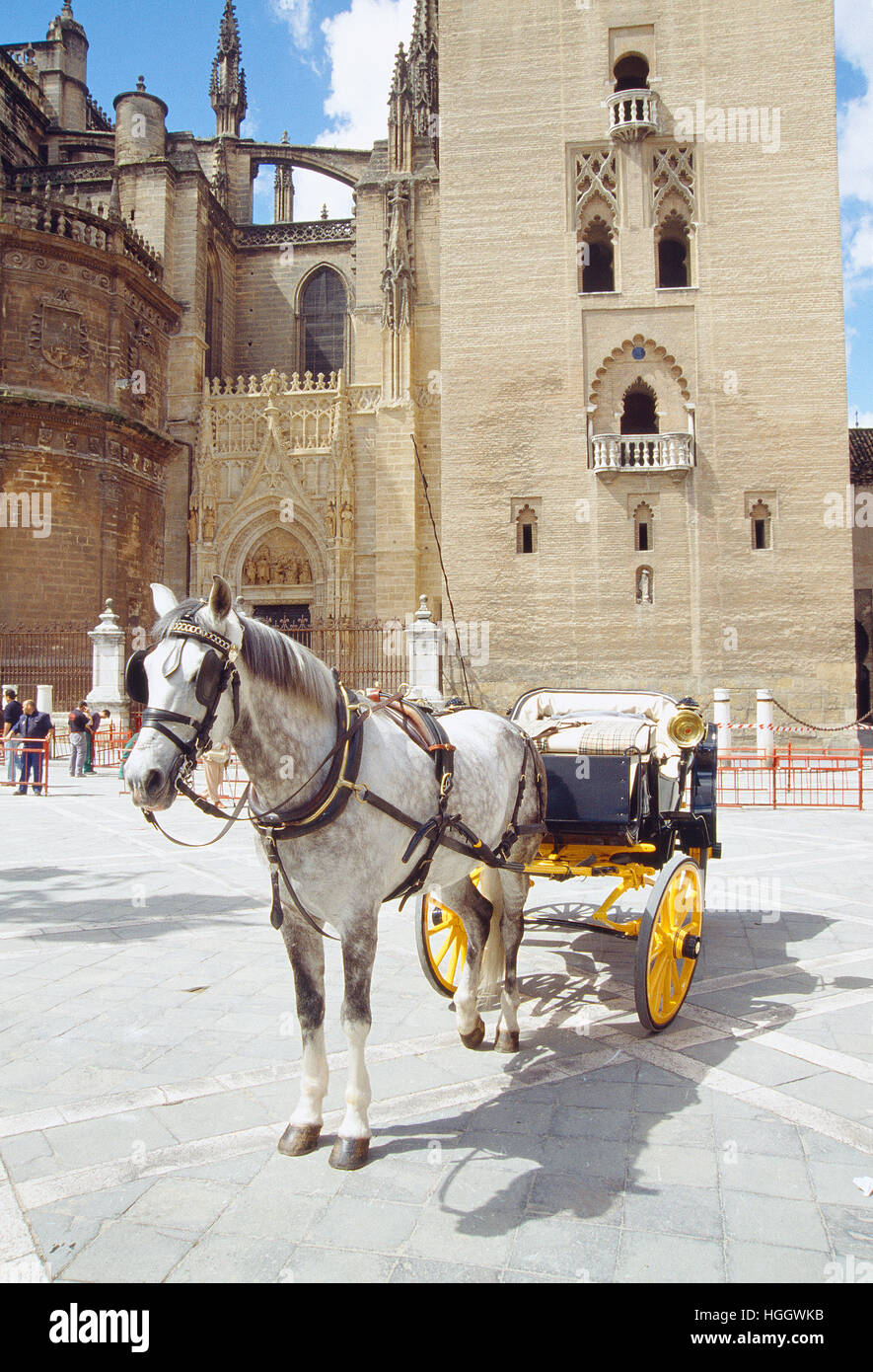 Typical horse drawn carriage. Sevilla, Andalucia, Spain Stock Photo Alamy