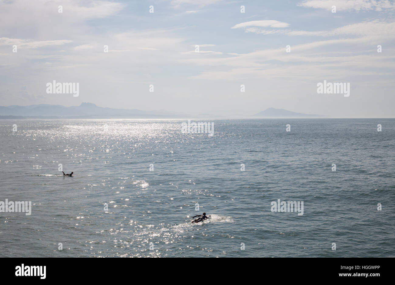 Surfers paddling out into the sea at Biarritz, France. Stock Photo