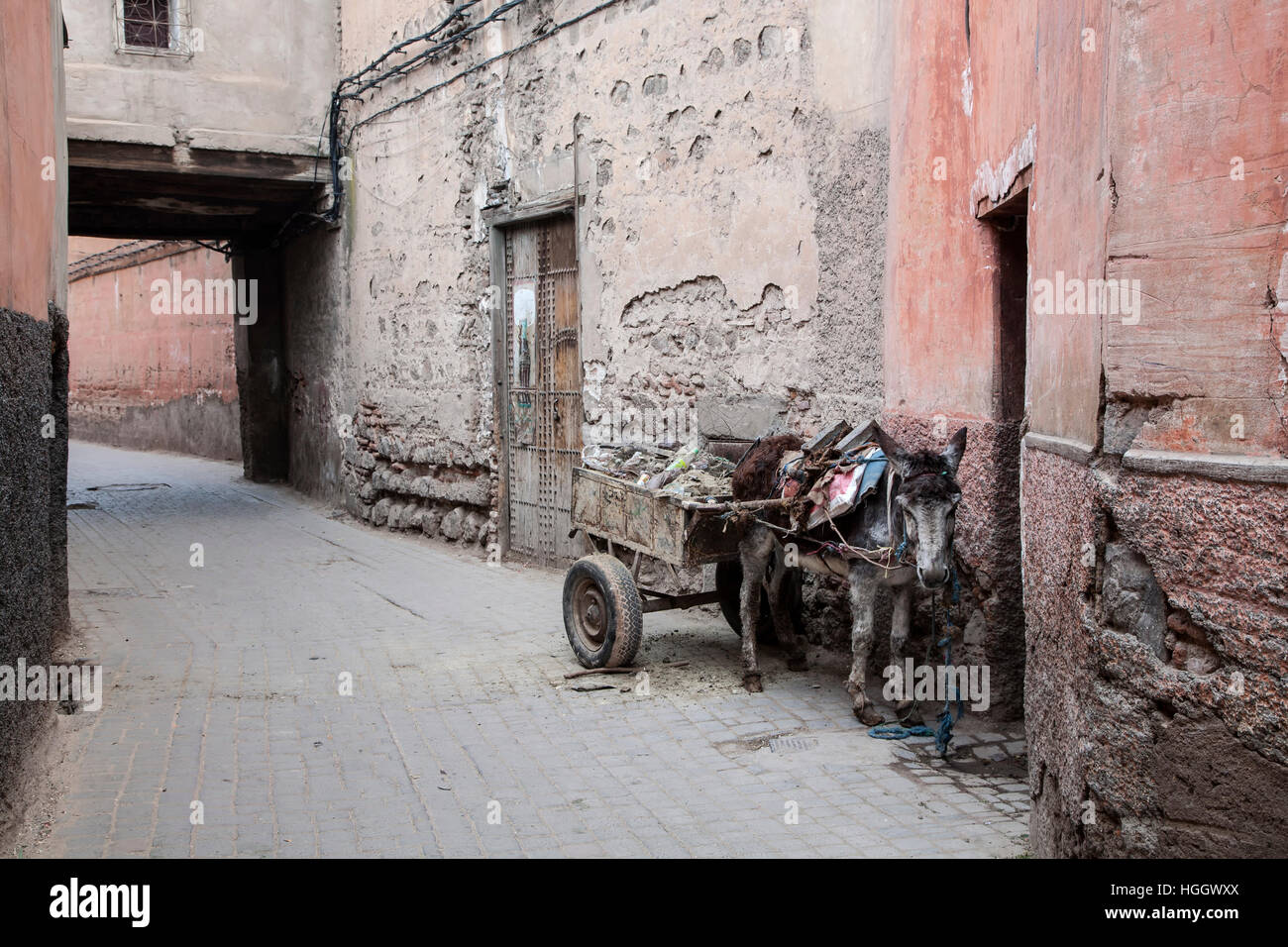 Burro and cart in alley, Marrakech, Morocco Stock Photo