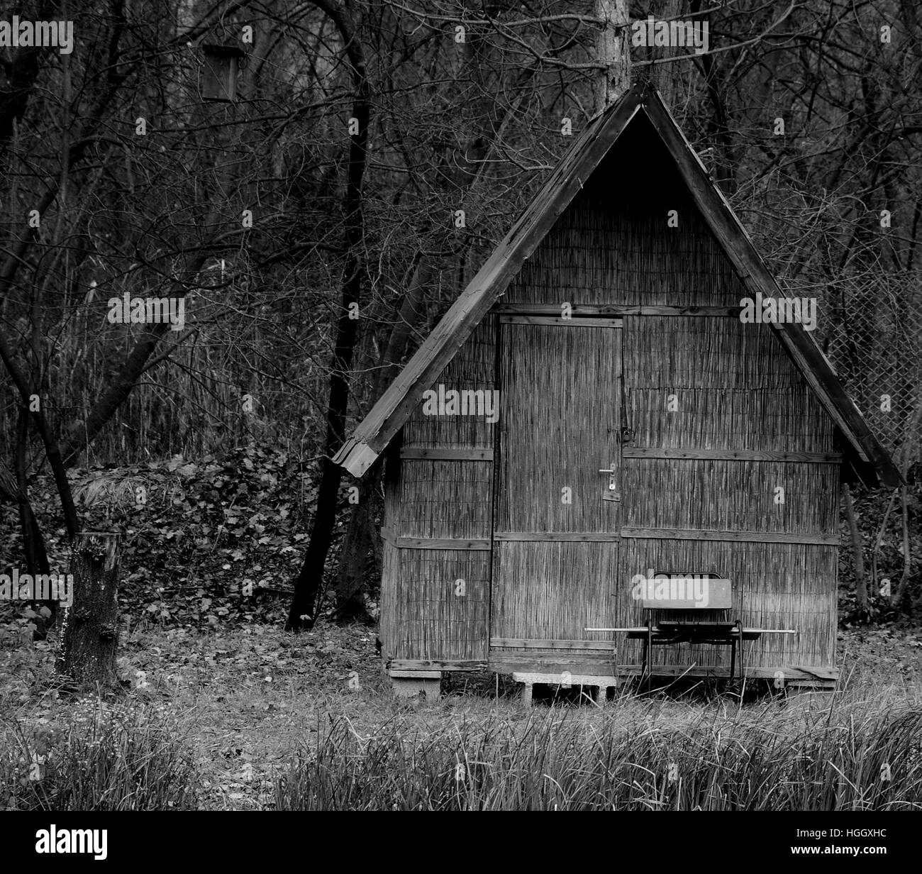House, House in reed, BW house,Lake, peace,relax,chill,chilling,quiet,tree,fisher house, reflectionp,nice house, Stock Photo