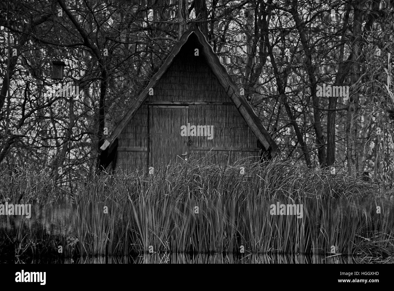 House, House in reed, BW house,Lake, peace,relax,chill,chilling,quiet,tree,fisher house, reflectionp,nice house, Stock Photo