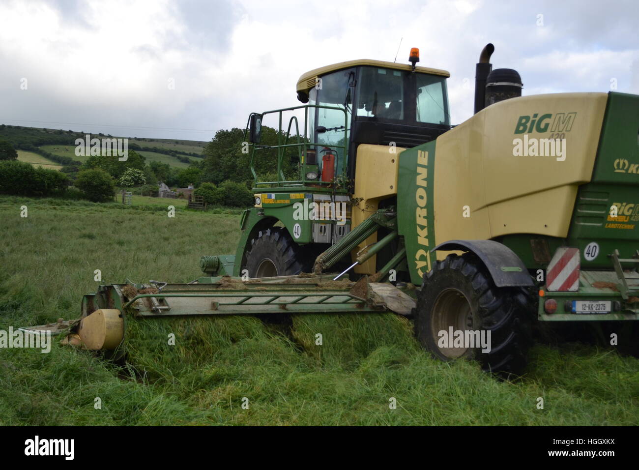 Krone BigM mowing grass Stock Photo