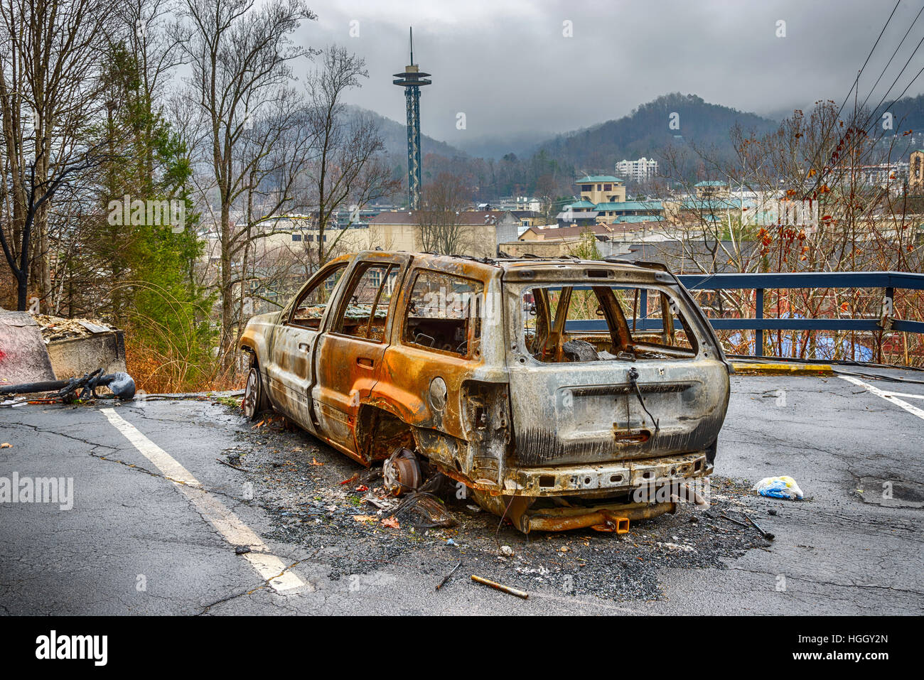 GATLINBURG, TENNESSEE/USA - DECEMBER 14, 2016: A gutted carcass is all ...