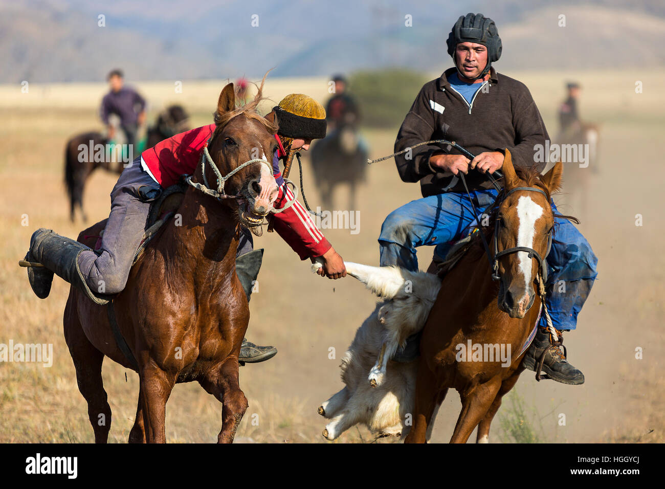 Kazakh horse rider tries to grab the goat carcass during nomadic horse game known as Kokpar in Aksu, Zhabagly, Kazakhstan Stock Photo