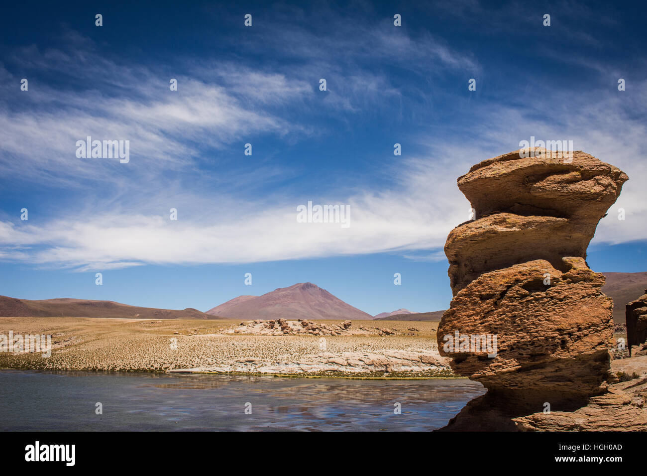 rocks in salt flat Stock Photo