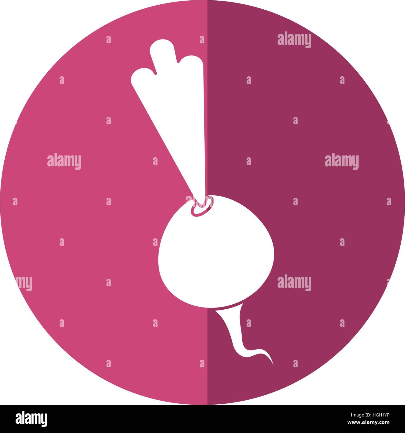 beet vegetable diet nutrition shadow Stock Vector Image & Art Alamy