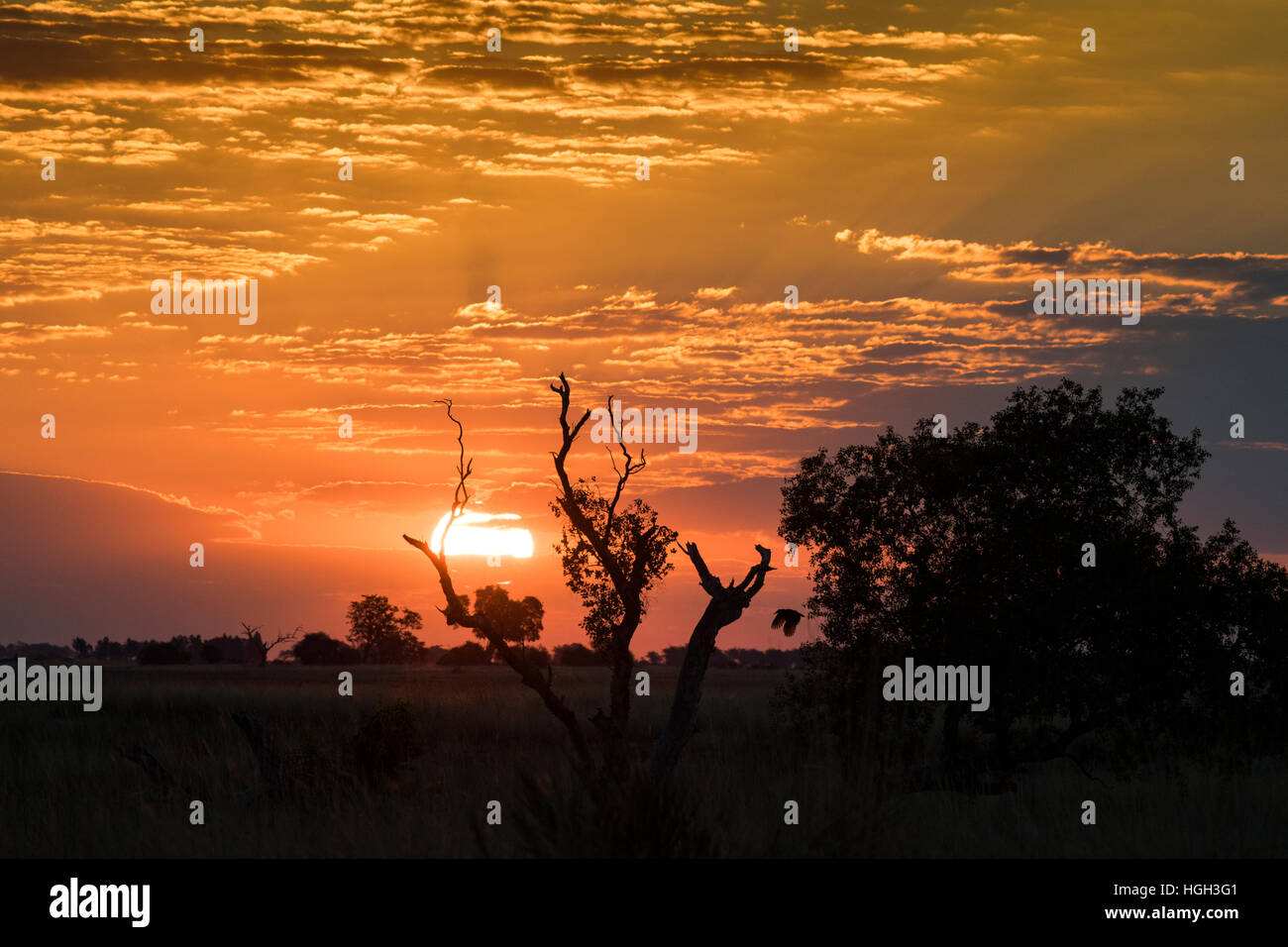 Sunset at Chobe National Park, Botswana Stock Photo