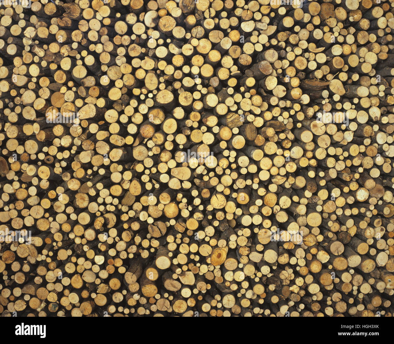 Stack of fire wood Stock Photo - Alamy