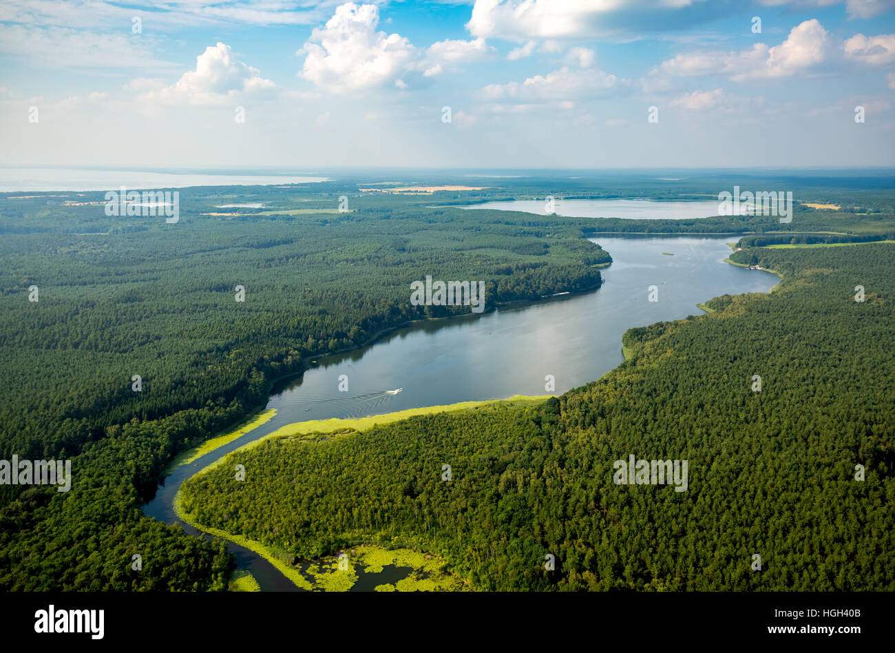 Mössel, lake, Leppinsee, forest, nature reserve, Rechlin, Mecklenburg Lake District, Mecklenburg-Western Pomerania, Germany Stock Photo