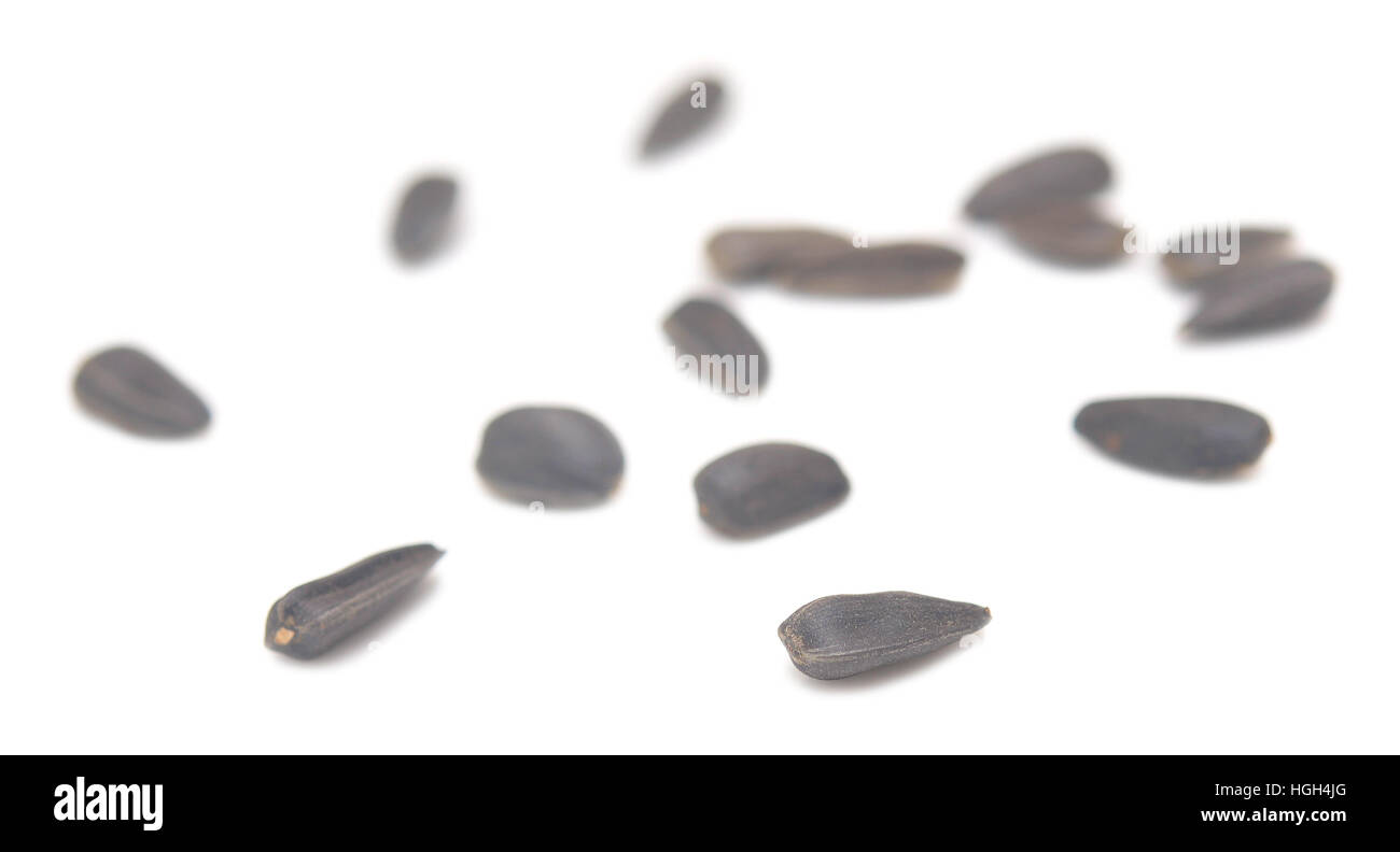 sunflower seeds isolated on white background Stock Photo - Alamy