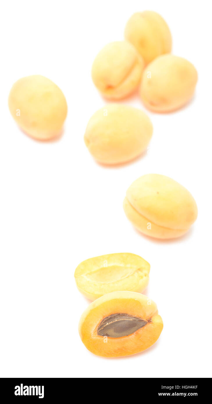 apricots isolated on white background Stock Photo - Alamy
